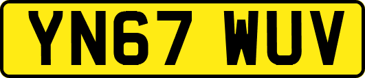 YN67WUV