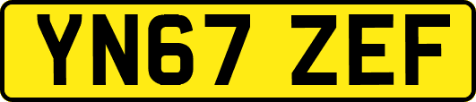 YN67ZEF