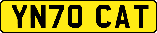 YN70CAT