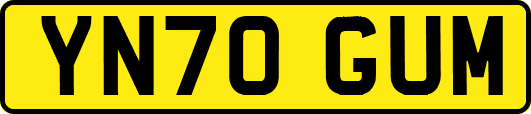 YN70GUM