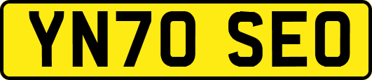 YN70SEO