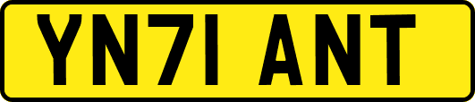 YN71ANT