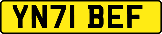 YN71BEF