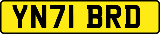 YN71BRD