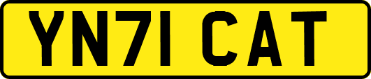 YN71CAT