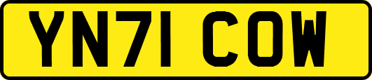 YN71COW
