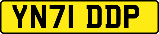 YN71DDP