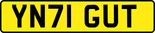 YN71GUT