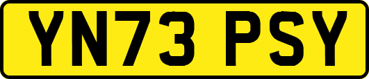 YN73PSY