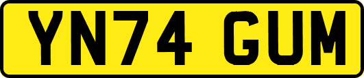 YN74GUM