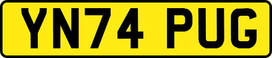 YN74PUG