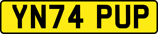 YN74PUP