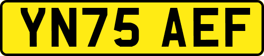 YN75AEF