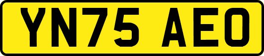 YN75AEO