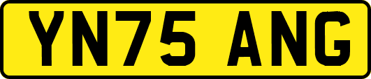 YN75ANG