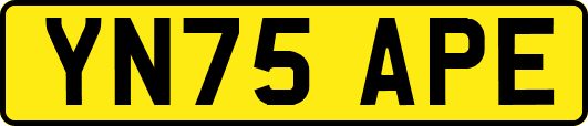 YN75APE