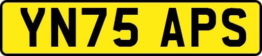 YN75APS