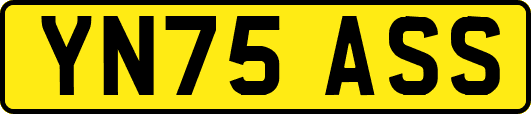 YN75ASS