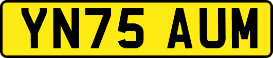YN75AUM