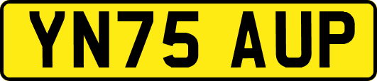 YN75AUP
