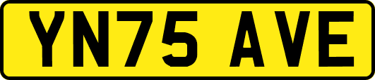 YN75AVE