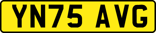 YN75AVG
