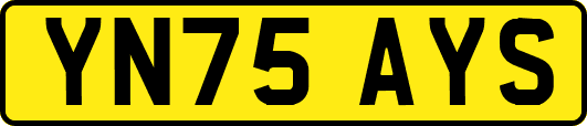 YN75AYS