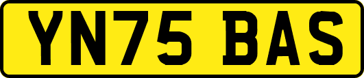 YN75BAS