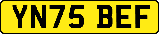 YN75BEF