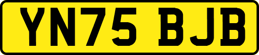 YN75BJB