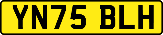 YN75BLH