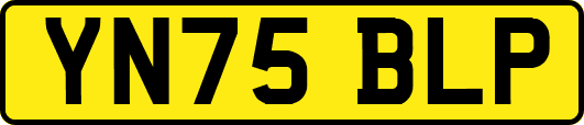 YN75BLP
