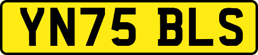 YN75BLS
