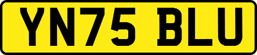 YN75BLU