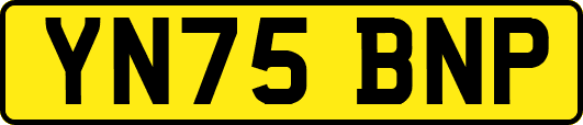 YN75BNP