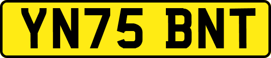YN75BNT