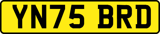 YN75BRD