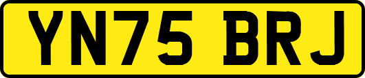 YN75BRJ