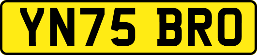 YN75BRO