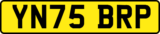YN75BRP