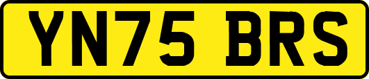 YN75BRS