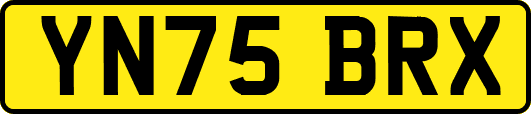YN75BRX