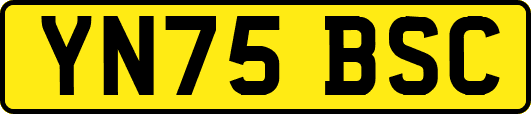 YN75BSC