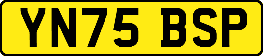 YN75BSP
