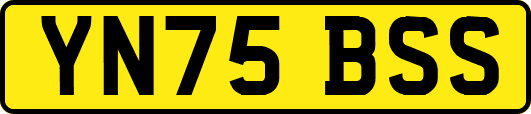 YN75BSS