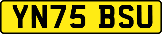 YN75BSU