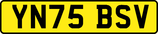 YN75BSV