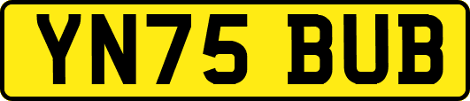 YN75BUB