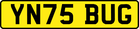 YN75BUG