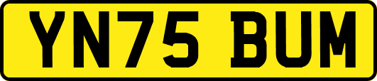 YN75BUM